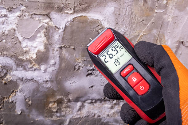 Best Mold Testing  in Bonners Ferry, ID